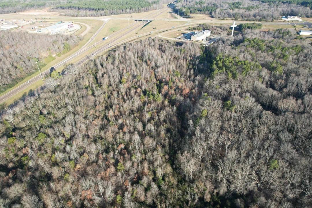 66 Acres in Montgomery County, MS