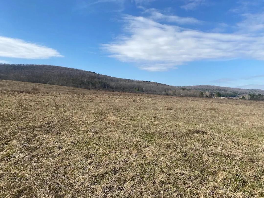 107 acres Open Fields, Woodlands and Recreational Land in Angelica NY 4005 County Rd 2