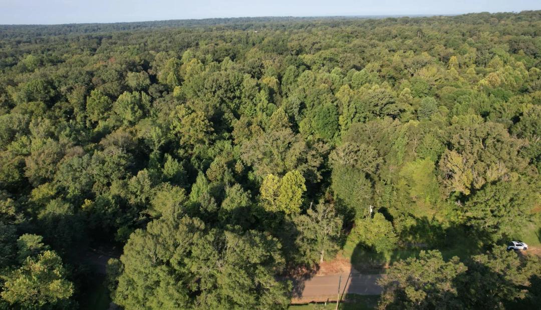 6 Acres in Warren County in Vicksburg, MS