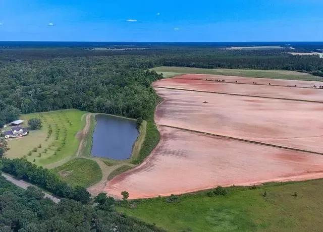 1.5-Acre Residential Lot in Colquitt, GA with Paved Access