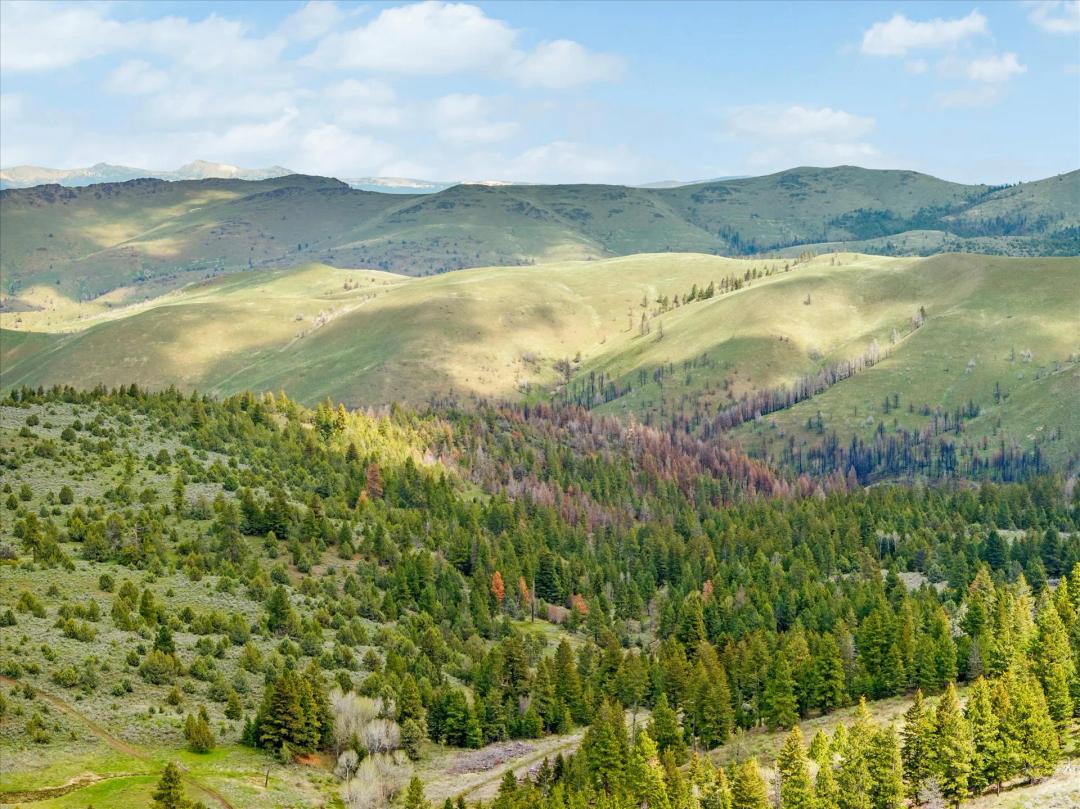 Baker/Malheur 1676