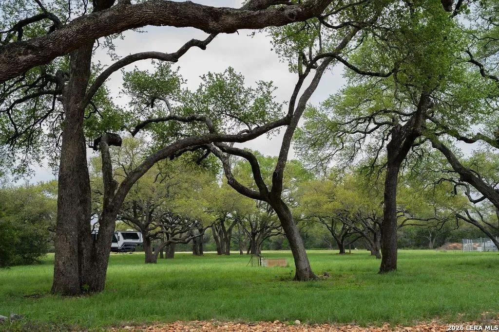 Land for Sale in New Braunfels, TX