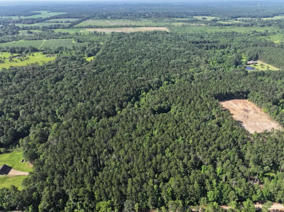 40.05 Acres in Rankin County, MS 