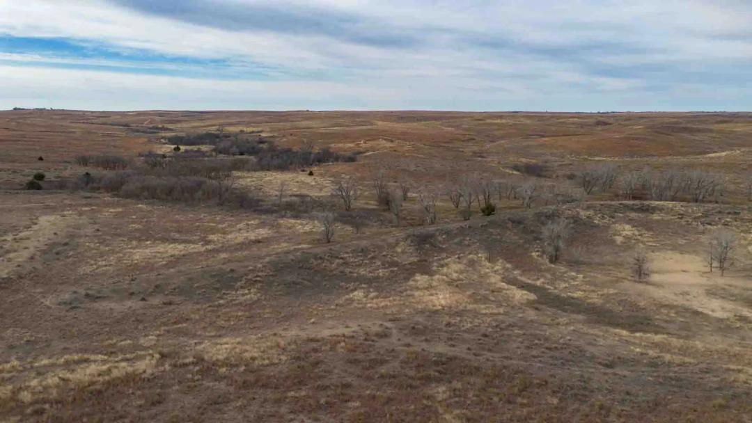 Peterson Creek 640 Acres