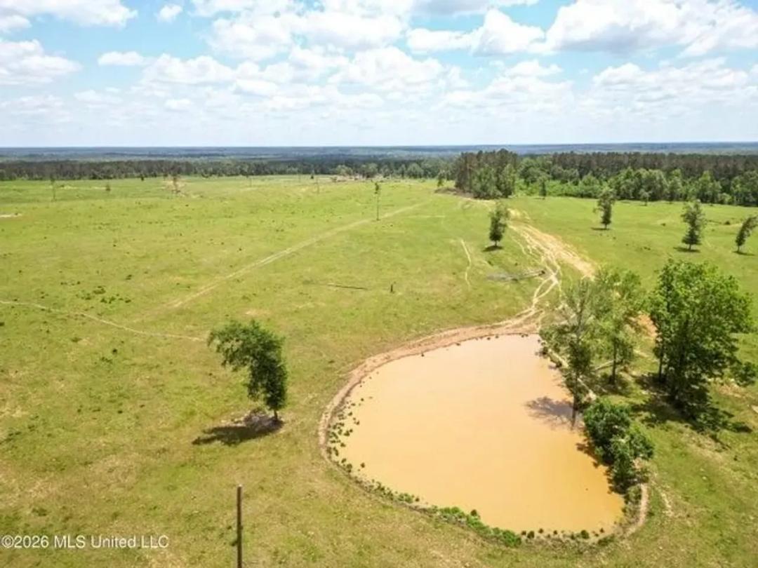 Pasture Land for Sale in Lincoln County, MS