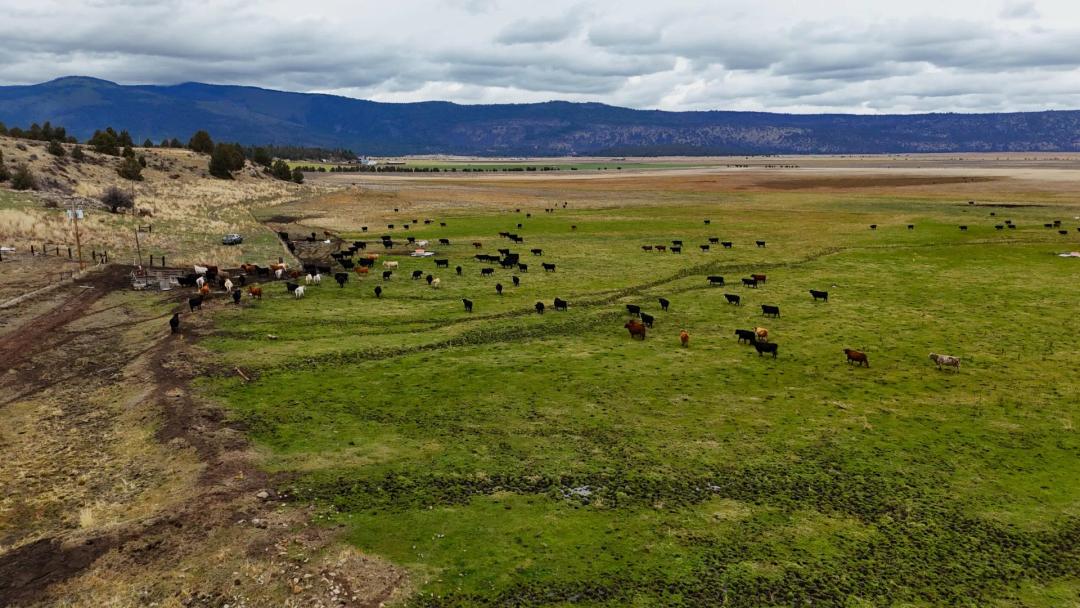 Brookside Ranch
