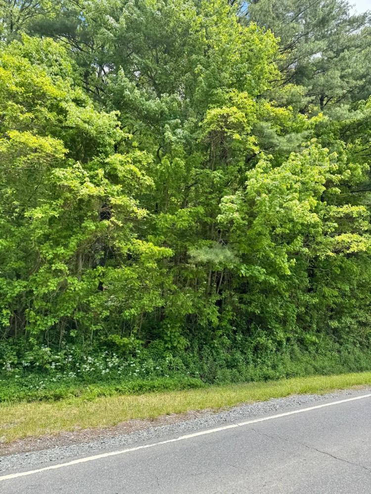 Vacant land near Newland-