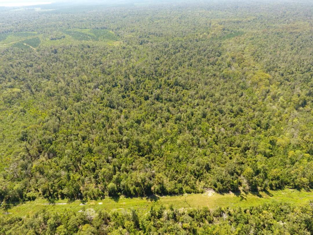160.00 Acres at 0 Martin Tram Road