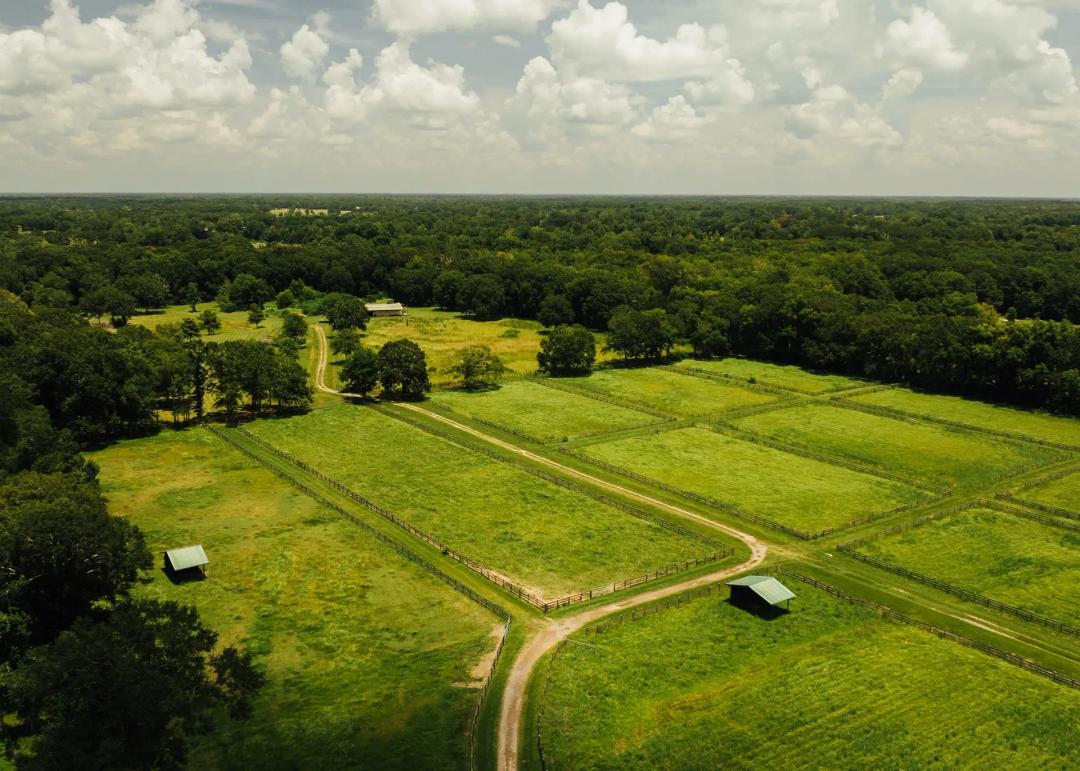 38 Acres in Lafayette Parish, LA