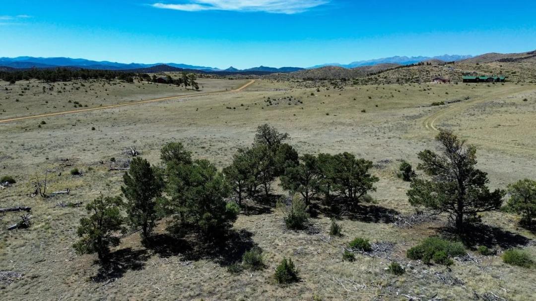 Pinevalley Rd Lot 2 ; 6.6 +/- acres 