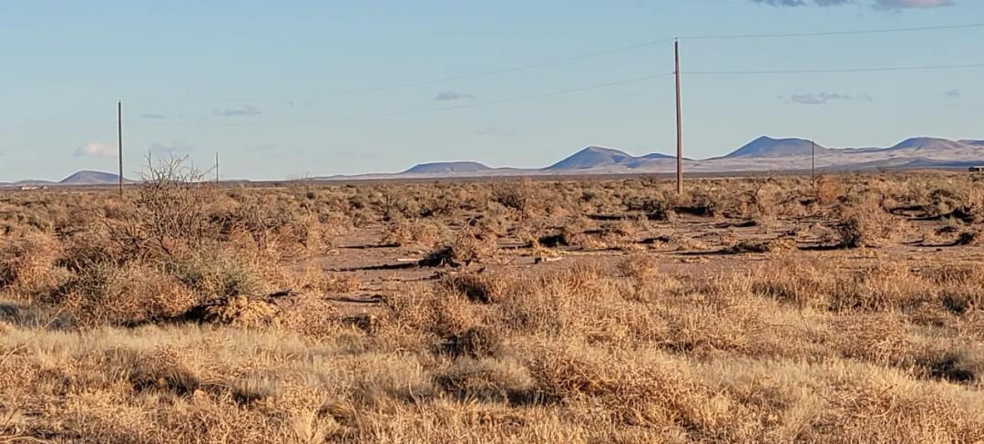 1 Acre - 2 adjoining Lots Only $1,500 - Camp RV Build Mobiles ok