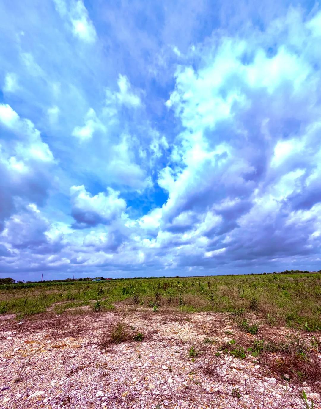 11.6 acres Way W of Houston (Wallis, TX)