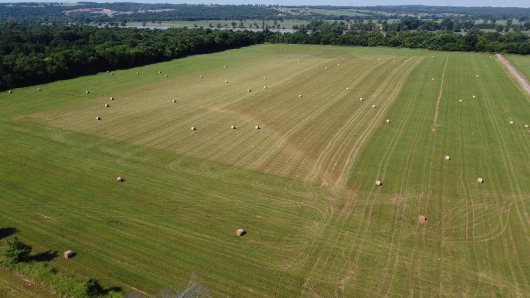 64± Acres at Auction | Level Land • Utilities Available • Aug. 8