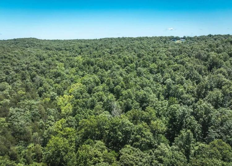 Hillside Deer Camp