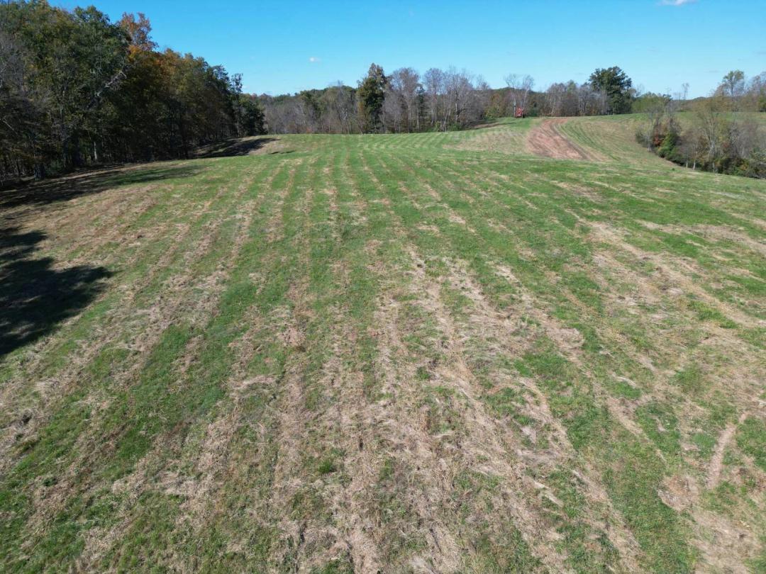 000 Field Hollow Road, Spencer, WV (100 +/- Acres) $349,900
