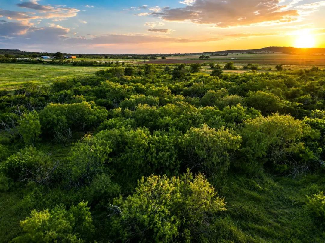 New Listing!!159.569 569+/- AC & Hm, Comanche Co