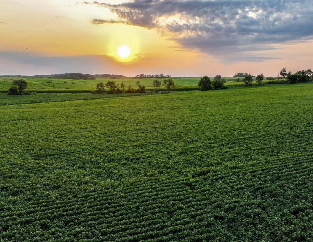 Listing #19670 - 79.50 acres in Jo Daviess County, IL