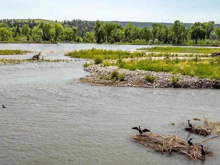 Cottonwood Ranch on the Yellowstone