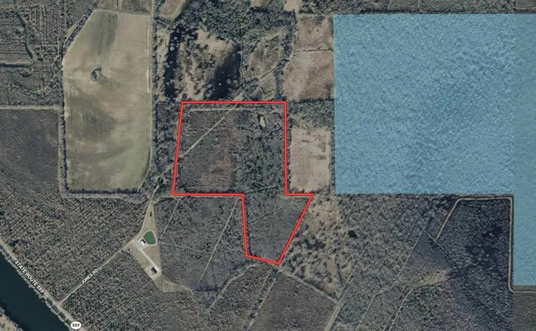 41 ACRES +/- CALDWELL PARISH, LA