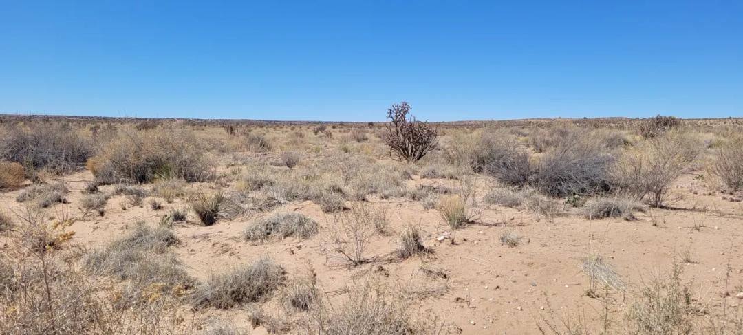 Rio Rancho New Mexico - Scenic Desert Vistas - almost 3/4 acre bordering Dry Wash