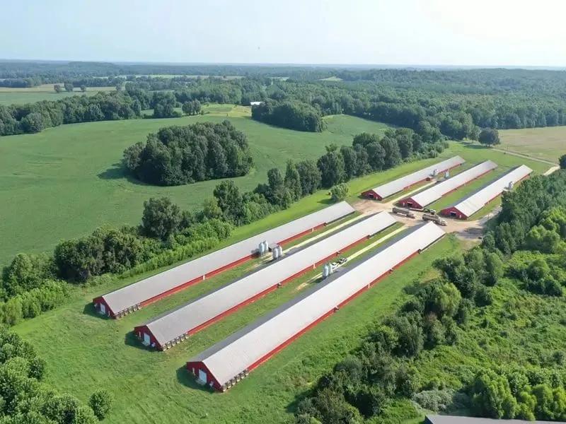 Great Smoky Broiler Farm – Six SUPER House Farm in Henry County, TN