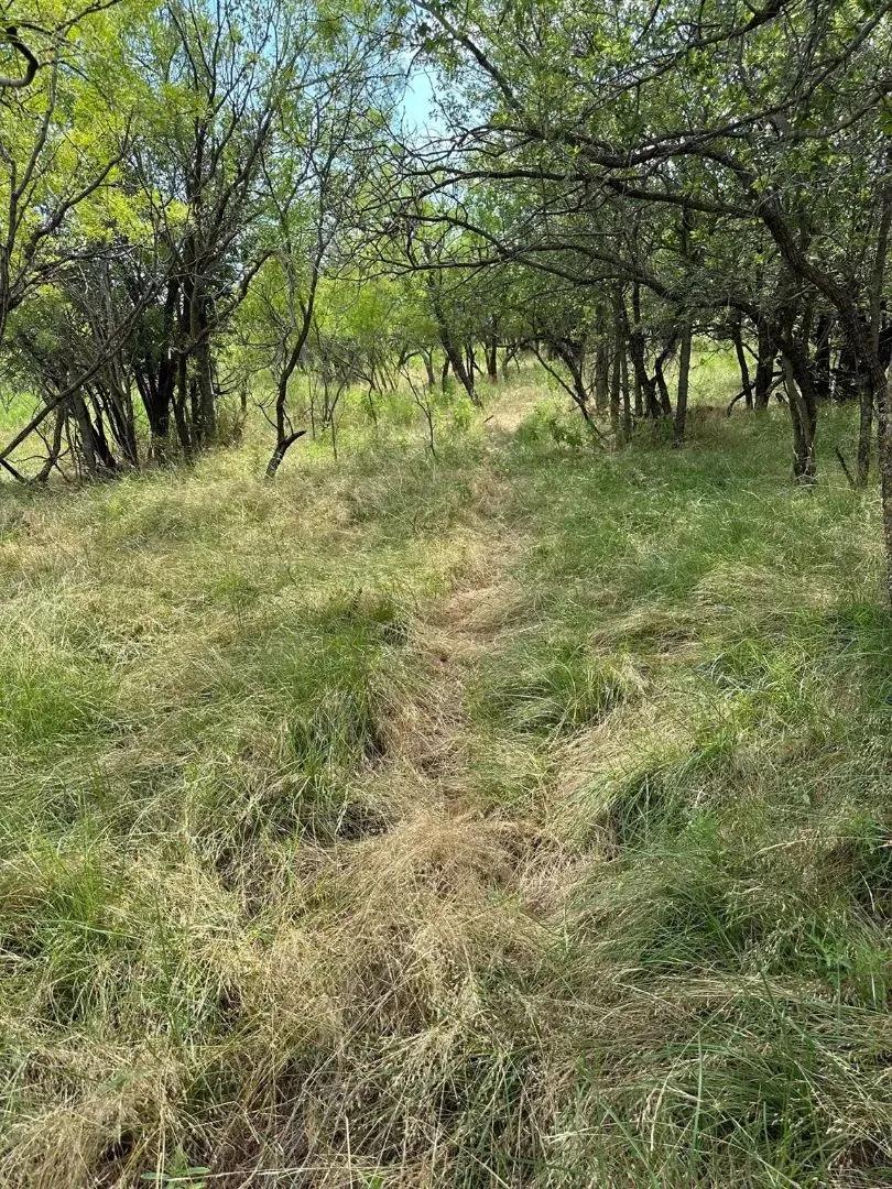 Under Contract!! 11+/-Ac (N part of Tr 19), Shackelford County