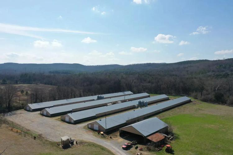 Spring Cliff Broiler Farm