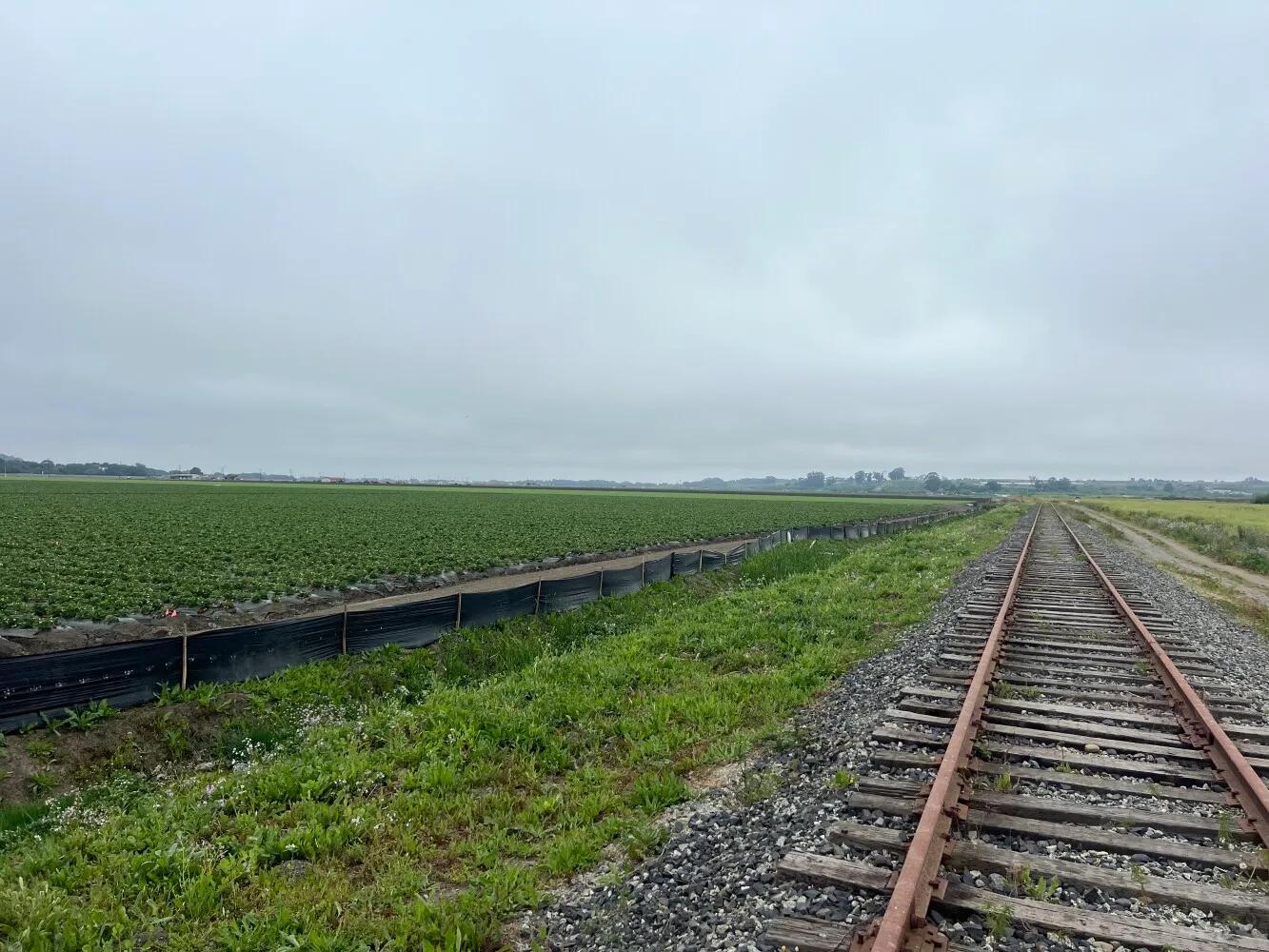 71368675-7