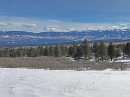 71380367-3