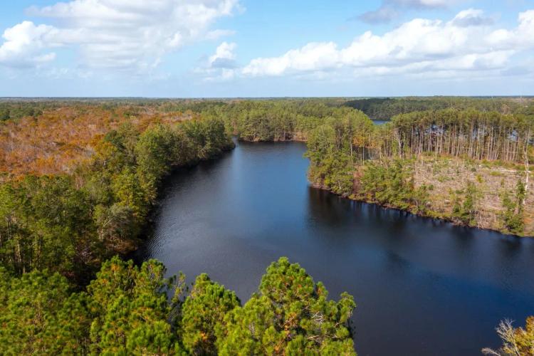 Ogeechee Refuge