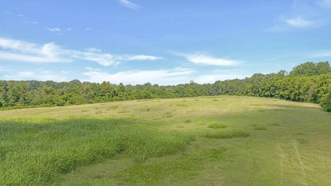 Henagar Investment Land 41 Acres