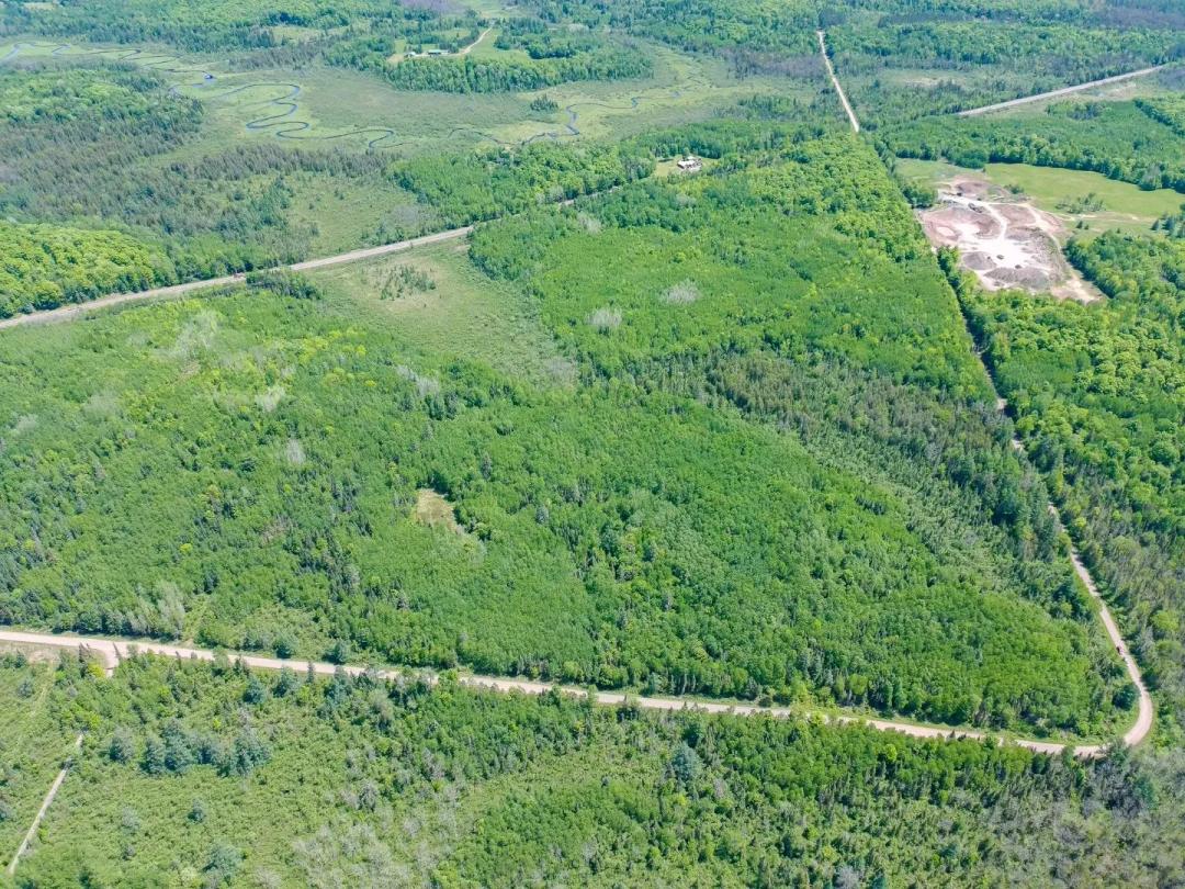 Hunting Land & Mature Hardwood Timber in Ashland County, WI