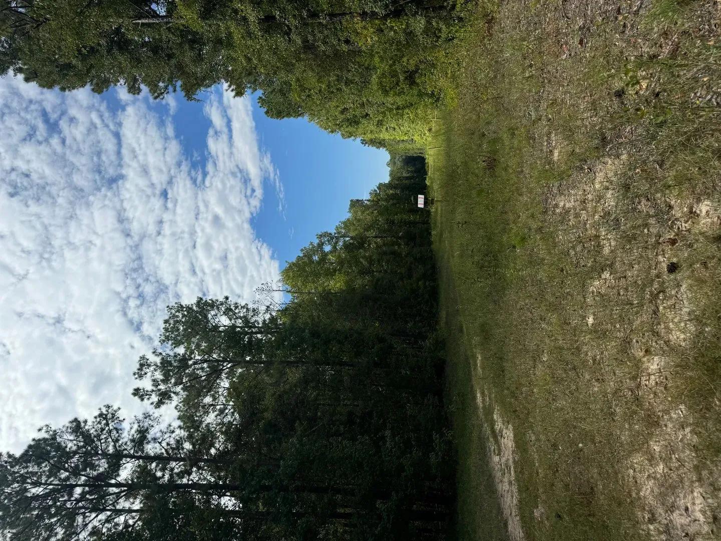 71445663-20