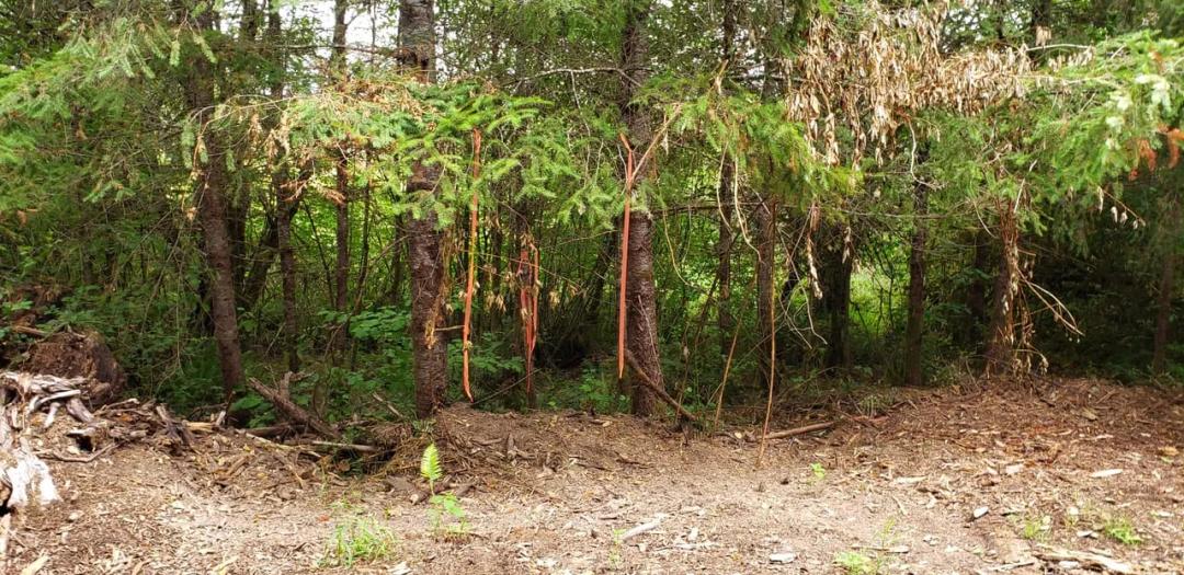 Onalaska 19.15-acre Investment/Development Property