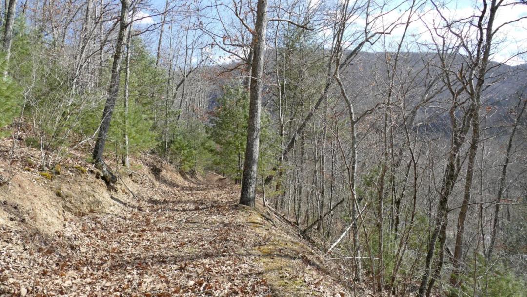 10.59 Acres at 0 Upper Back Creek Road