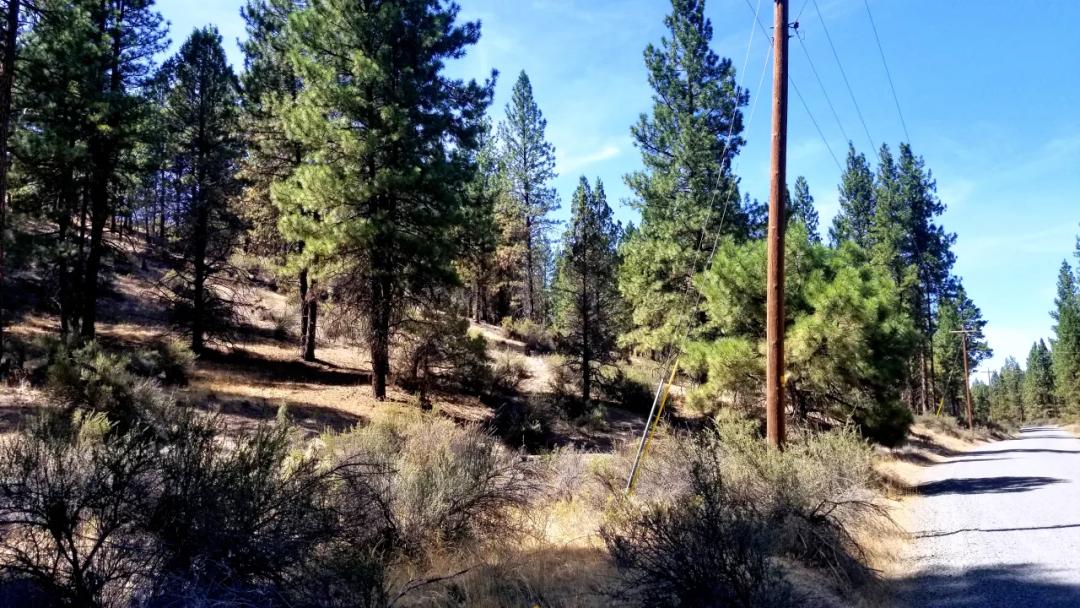 Bonanza Oregon land - 2 adjoining lots with Trees - Power at Road