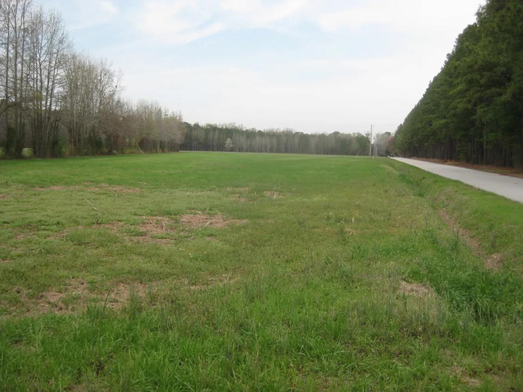 7.75 Acres at  Gary Road Oak Grove Community