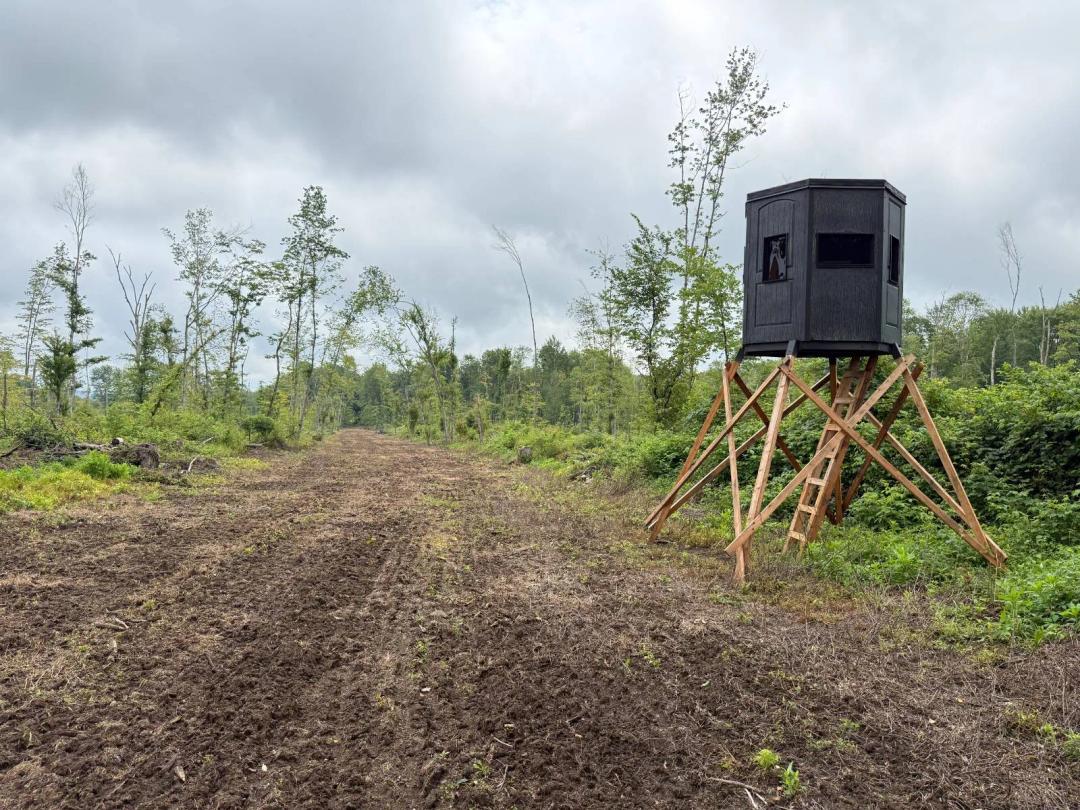 Turnkey Hunting Ground with Prime Deer Habitat