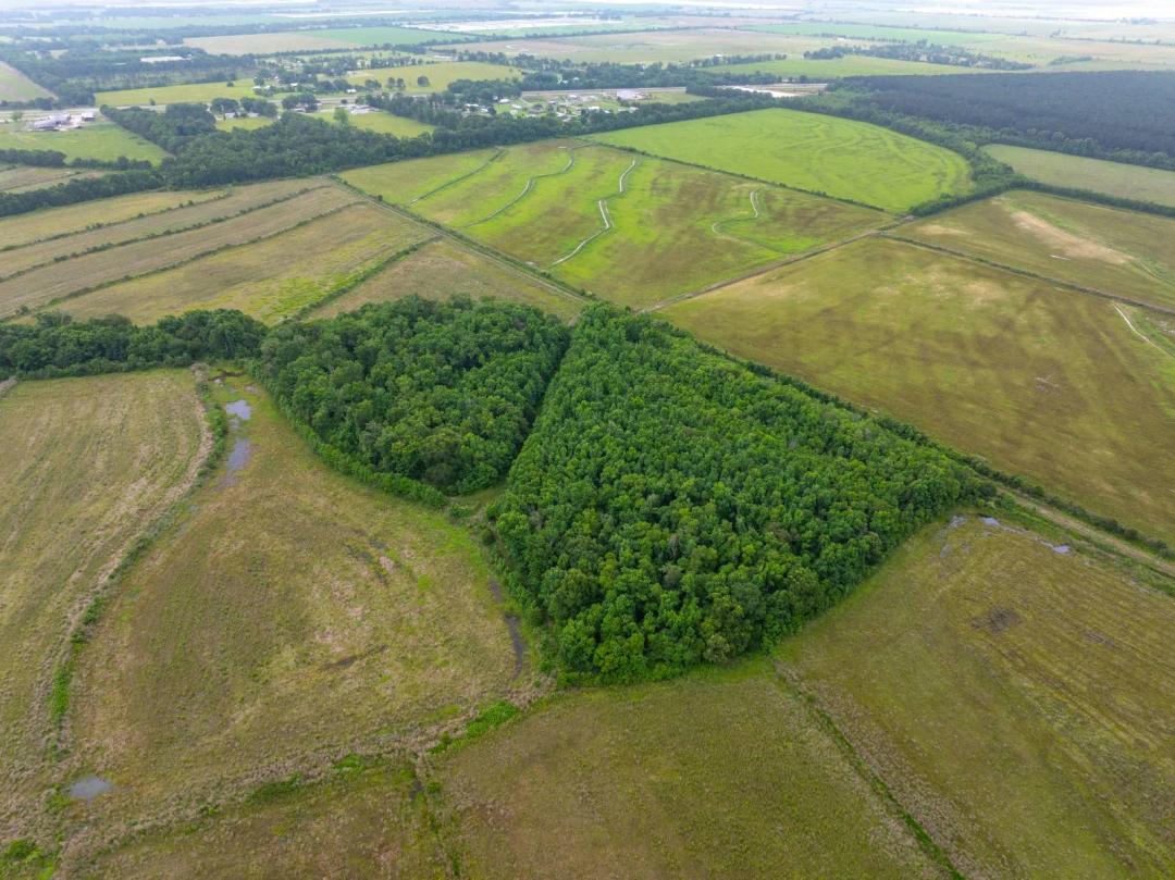 240 +/- Acre Farm for Sale in Kinder, LA