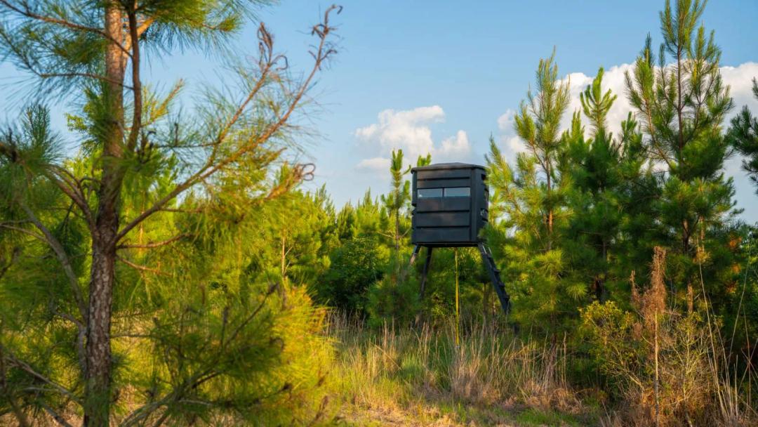 The Lime Creek Place - 154.085+/- Acres