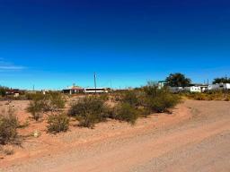 4 IMG_7750