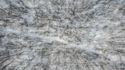 71620134-31
