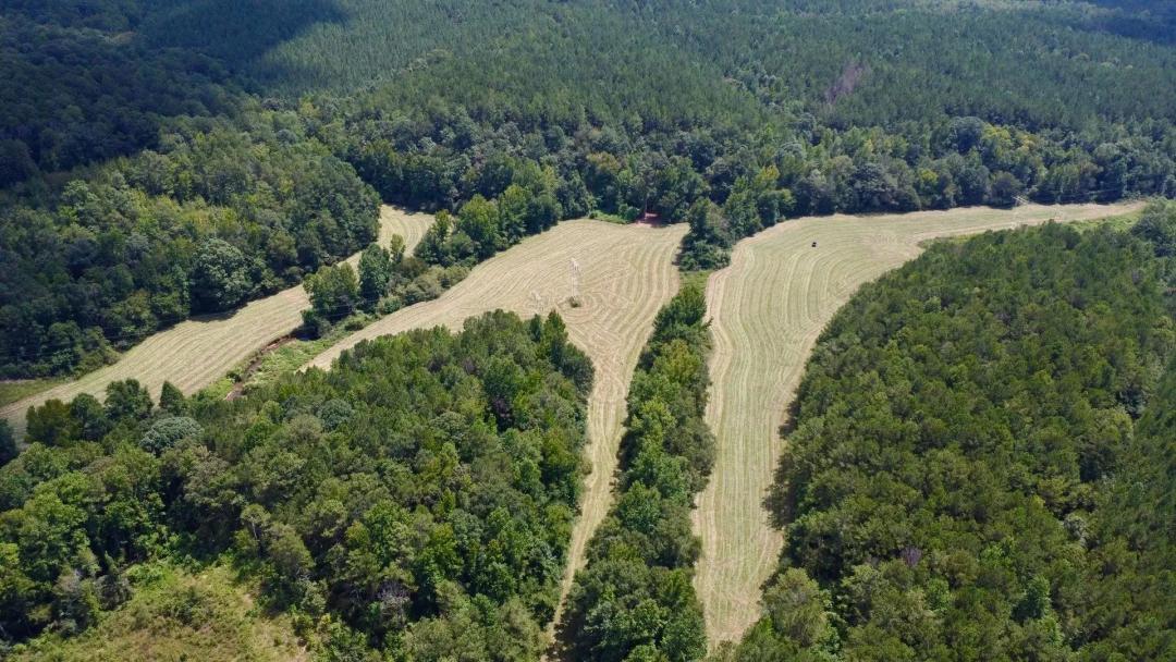 Sportsman's Paradise| Timber, Creeks, & Pasture | 110 +/- Ac in Clay County