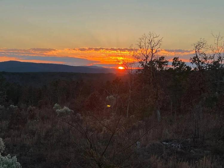 80 ACRES AND CABIN HUNTING PARADISE