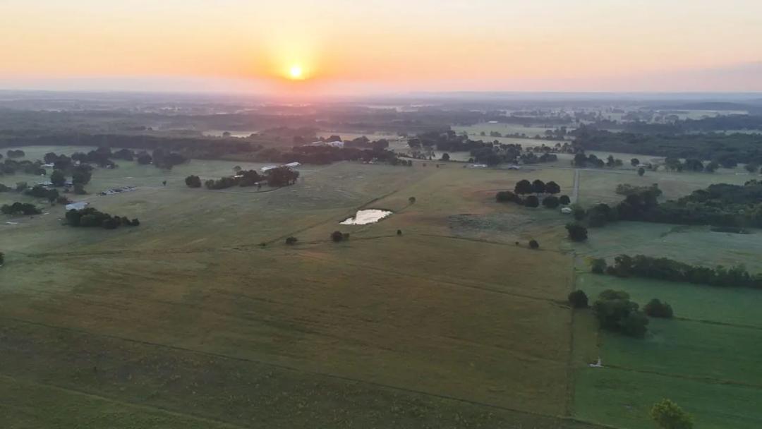 Morgan Co. Alabama 40 +/- acre Homestead 