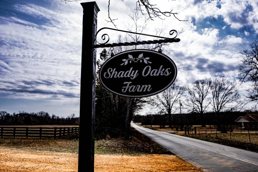 Lot #2:  Shady Oaks Farm - Saltillo