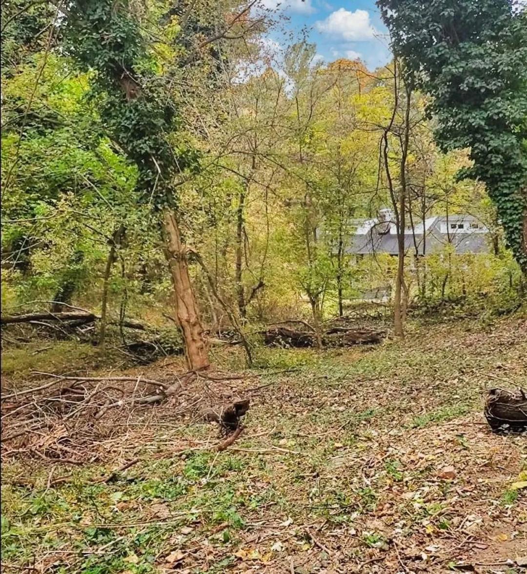 East D St, Brunswick, MD 21716
