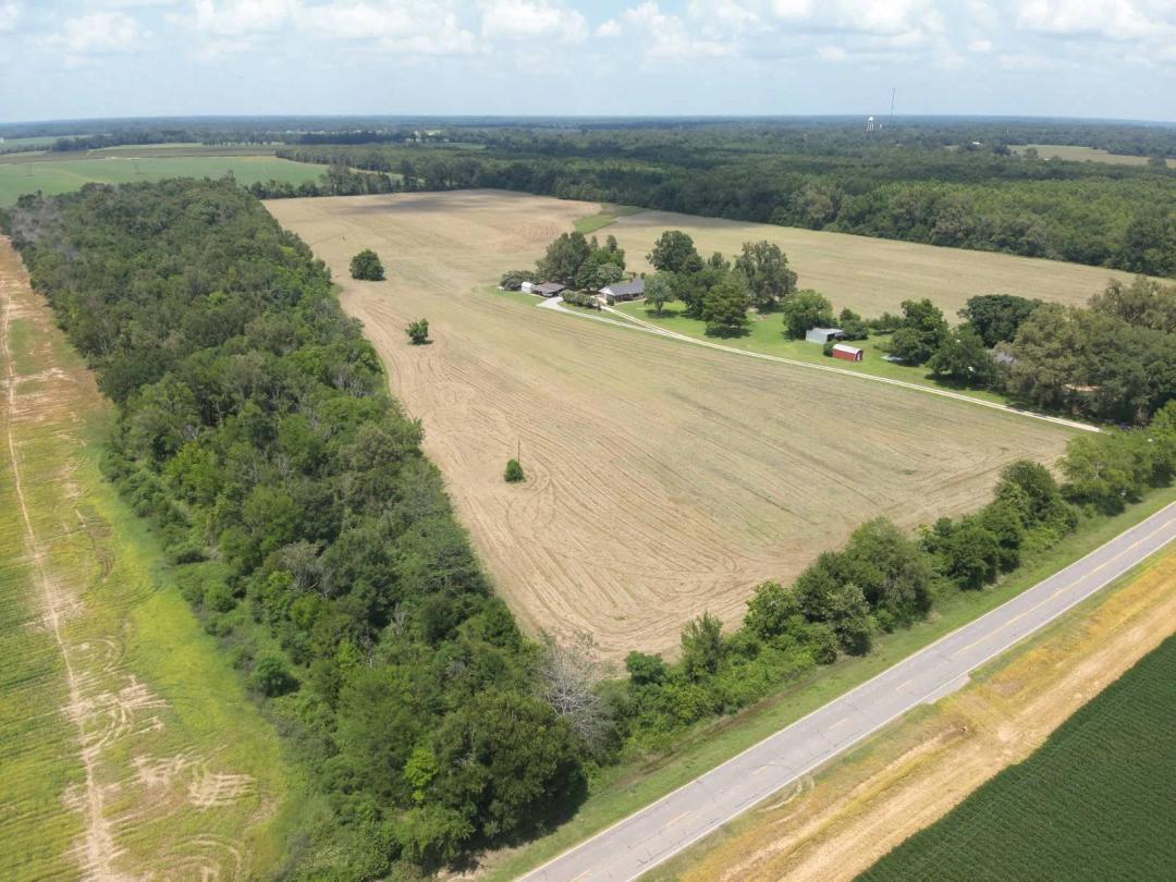 65 Ac.+/- Farmland, Investment/Development Tract