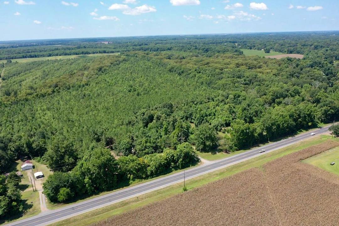 113+/- acre hunting tract in Concordia Parish, LA