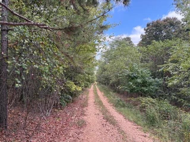 73.16 Acres at 1111 Bob Davis Mountain Road